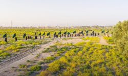 تمشي إليك توسلاً خطواتي.. استمرار مسير زوار الإمام الحسين "ع" نحو كربلاء.